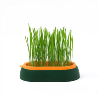 HKM-8062141 Hydroponic Cat Grass Planter with Wheat Seed Basin - Soil-Free, Available in White, Green, Red
