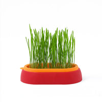 HKM-8062141 Hydroponic Cat Grass Planter with Wheat Seed Basin - Soil-Free, Available in White, Green, Red
