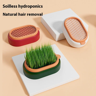 HKM-8062141 Hydroponic Cat Grass Planter with Wheat Seed Basin - Soil-Free, Available in White, Green, Red