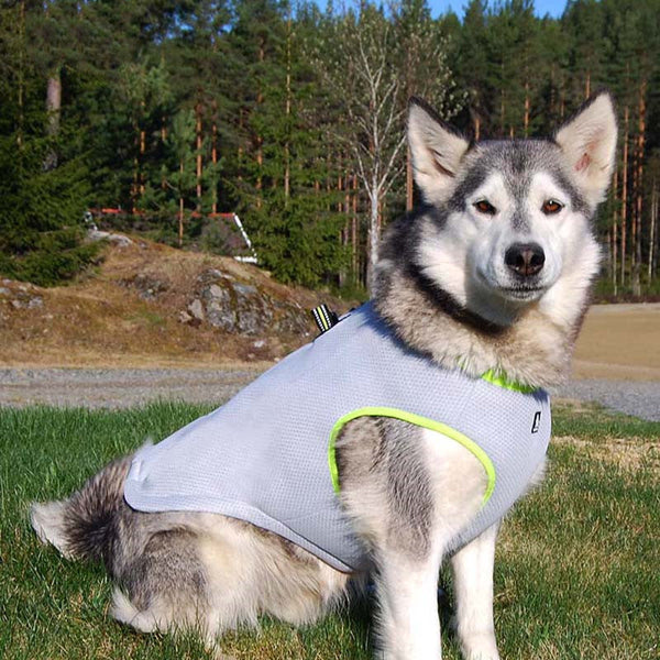 HKM-8070973 Cooling Harness Suit for Dogs - Summer Traction and Breathable Design in Gray Green and Gray Orange