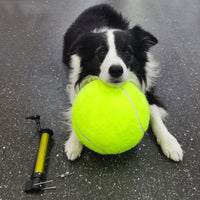 HKM-807251 Tennis Pet Toy Inflatable Training Rubber Big Ball Elastic Ten Times Happy Corgi Golden Retriever
