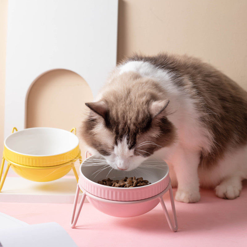 HKM-8073661 Ceramic Pet Bowl with High Foot for Neck Protection - Multiple Colors and Designs Available