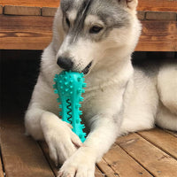 HKM-8074941 Durable Rubber Molar Stick for Small to Medium Aggressive Dogs - Cleans Teeth and Relieves Anxiety
