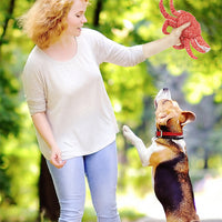 HKM-8077117 Vocal Plush Pet Toy - Bite-Resistant Seahorse & King Crab with Interactive Sounds