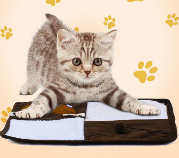 HKM-8079293 Sisal Cat Scratch Pad Toy - Plush Fish, Square & Round Designs