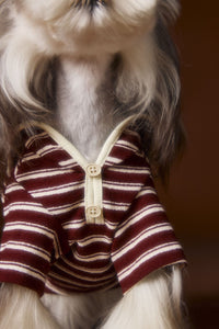 HKM-8087741 Striped Embroidered Sailor Collar Sweatshirt for Pets - Coffee and Red, Sizes XS to XXL