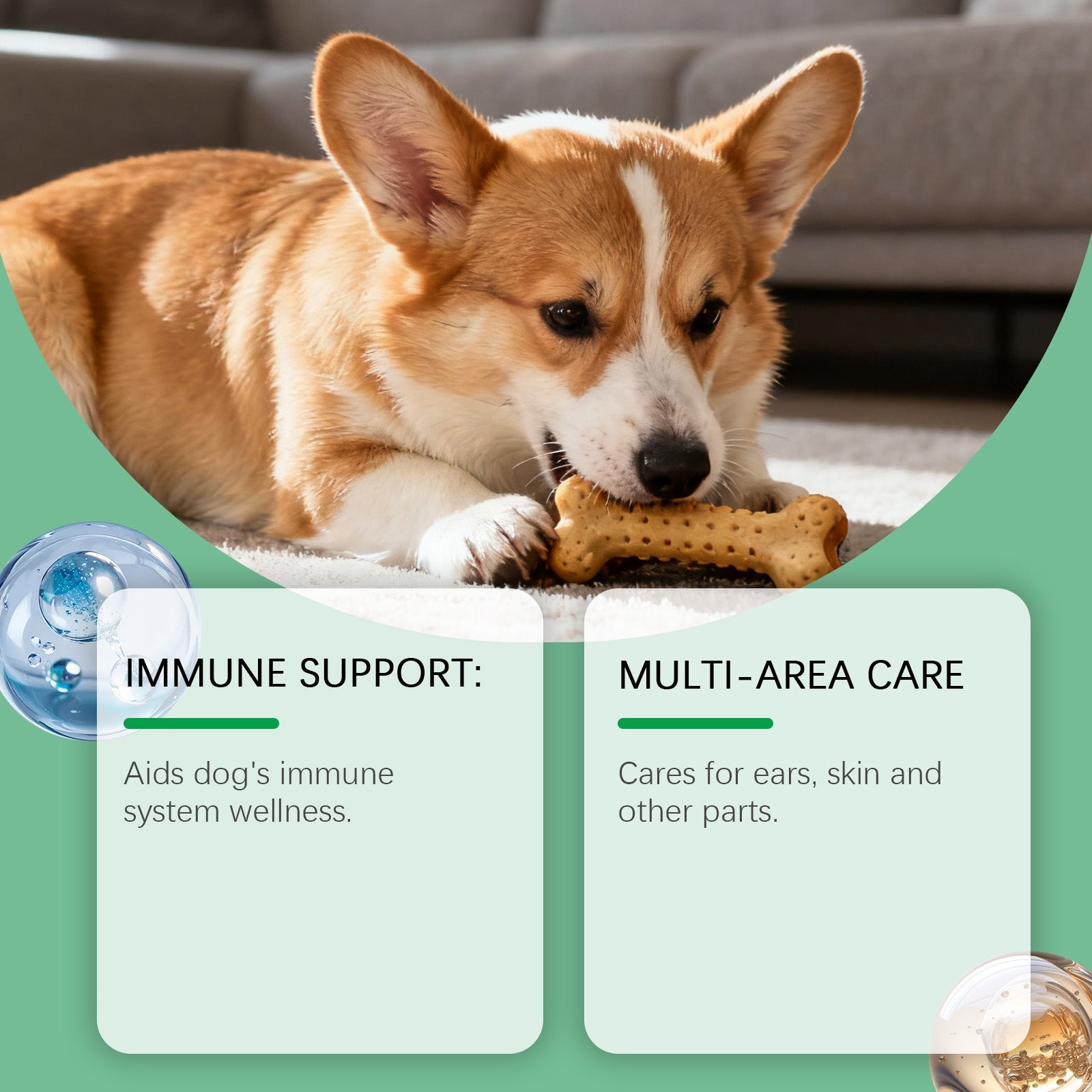 HKM-8089021 Immune Support Herbal Drops for Dogs with Cranberry, Echinacea, and Oregano Extract