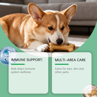 HKM-8089021 Immune Support Herbal Drops for Dogs with Cranberry, Echinacea, and Oregano Extract
