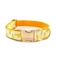 HKM-809491 Fruit Pattern Dog Collar with Gold Metal Buckle, Polyester Material, Multiple Sizes Available