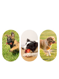 HKM-8099517 Bite-Resistant Rubber Dog Chew Toy with Meat Aroma – Available in Large, Medium, and Small Sizes