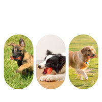 HKM-8099517 Bite-Resistant Rubber Dog Chew Toy with Meat Aroma – Available in Large, Medium, and Small Sizes
