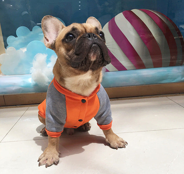 HKM-8099773 Plush Velvet Sweater for Small and Medium Dogs - Comfortable Cotton Two-Legged Style