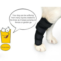 HKM-8101309 Dog Legging Support Sheath for Injury Recovery and Wound Protection