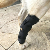 HKM-8101309 Dog Legging Support Sheath for Injury Recovery and Wound Protection