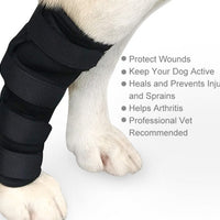 HKM-8101309 Dog Legging Support Sheath for Injury Recovery and Wound Protection