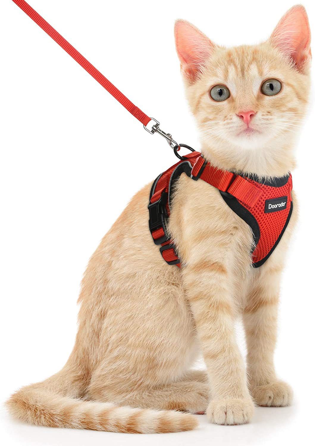 HKM-8104253 Adjustable Anti-Escape Cat Leash in Multiple Colors: Sky Blue, Black, Orange, Red, Lake Blue, Dark Blue, Pink, Purple, Yellow, Gray