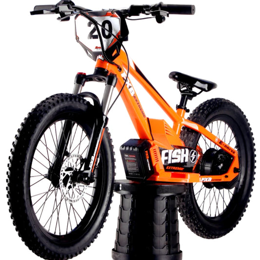 HKM-810515 20 Inch Electric Balance Bike with 36V 400W Motor and 5Ah Lithium Battery
