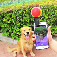 HKM-810707 Pet photo props toy pet photo selfie artifact funny dog camera phone clip tennis selfie clip