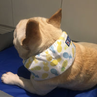 HKM-8116541 Cooling Scarf for Dogs - Heat Relief with Multiple Ice Pack Options in Various Colors
