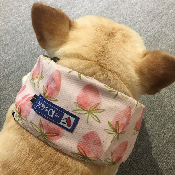 HKM-8116541 Cooling Scarf for Dogs - Heat Relief with Multiple Ice Pack Options in Various Colors