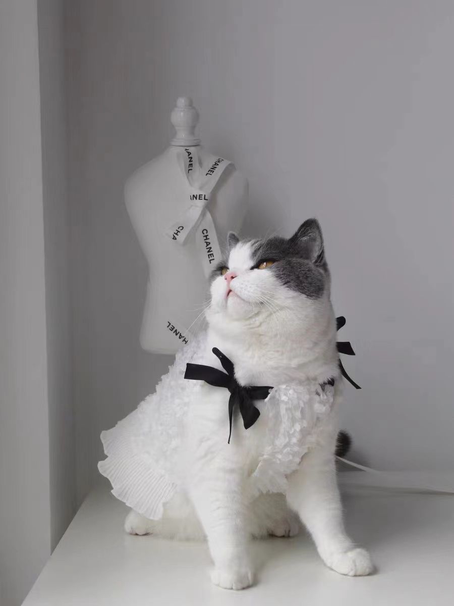 HKM-8120509 Flower Skirt for Pets in Macaron and Classic Black & White - Available in XS to XL Sizes