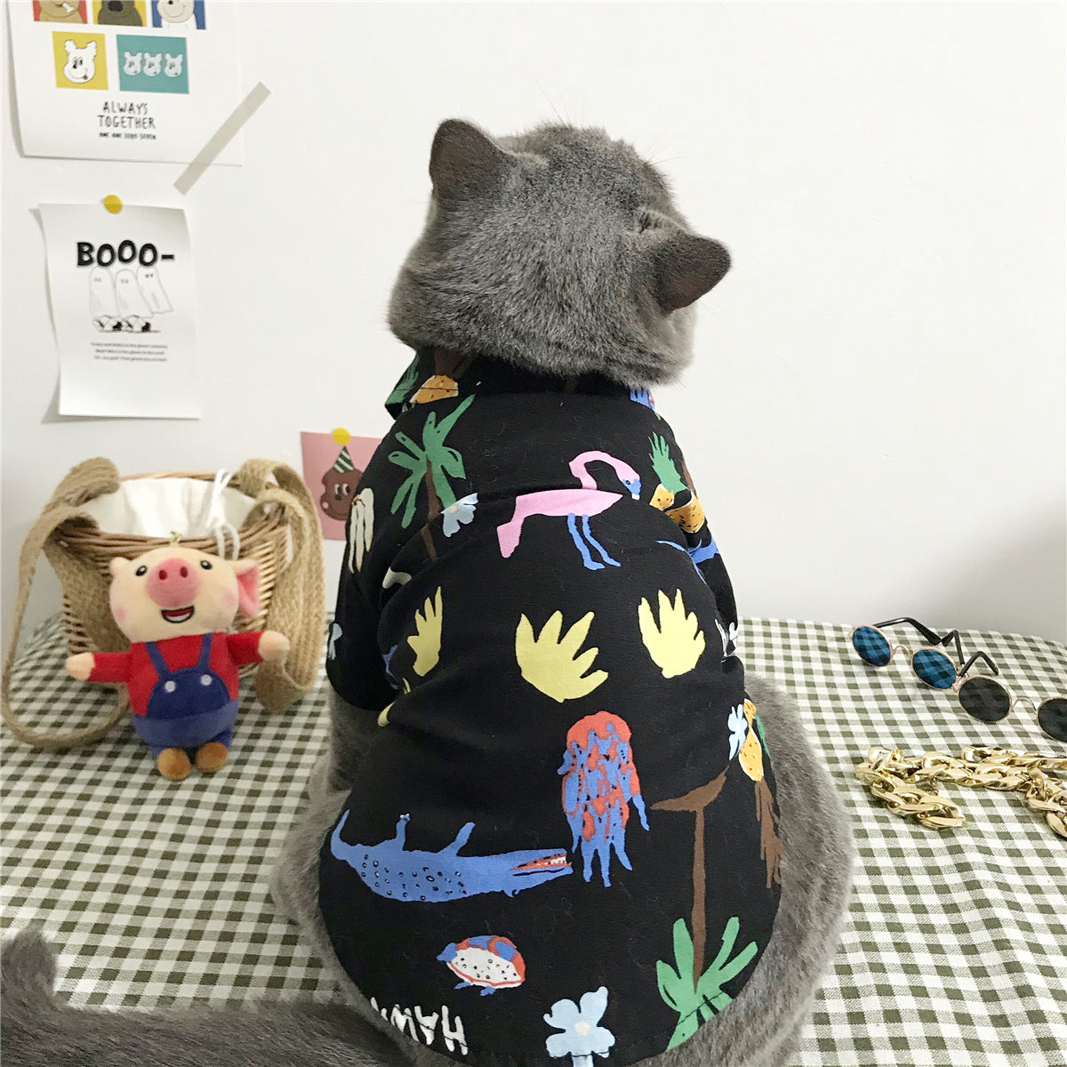 HKM-8125885 Summer Cat Shirt with Matching Straw Hat, Necklace, and Glasses - Thin and Hair-Fall Preventing Outfit