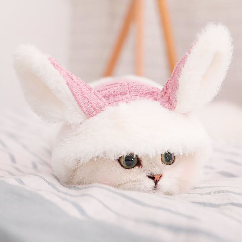 HKM-812691 Cozy Polyester Fiber and Plush Kitten Clothes for British and American Shorthairs