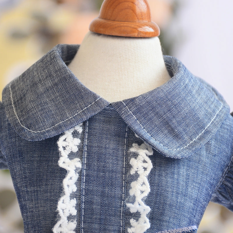 HKM-8129085 Pet Denim Summer Dress with Flying Sleeves for Small Dogs