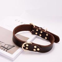 HKM-8129469 Adjustable Dog Collar - Sizes S to L (Neck 28-42 cm) with Varying Widths