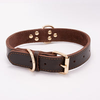 HKM-8129469 Adjustable Dog Collar - Sizes S to L (Neck 28-42 cm) with Varying Widths