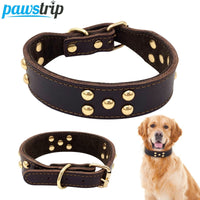 HKM-8129469 Adjustable Dog Collar - Sizes S to L (Neck 28-42 cm) with Varying Widths