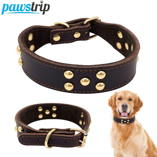 HKM-8129469 Adjustable Dog Collar - Sizes S to L (Neck 28-42 cm) with Varying Widths