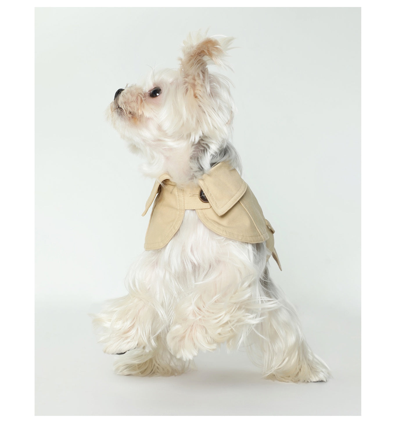 HKM-8129853 Stylish British Trench Coat for Dogs - Lightweight Washed Cotton, Perfect for Spring and Autumn