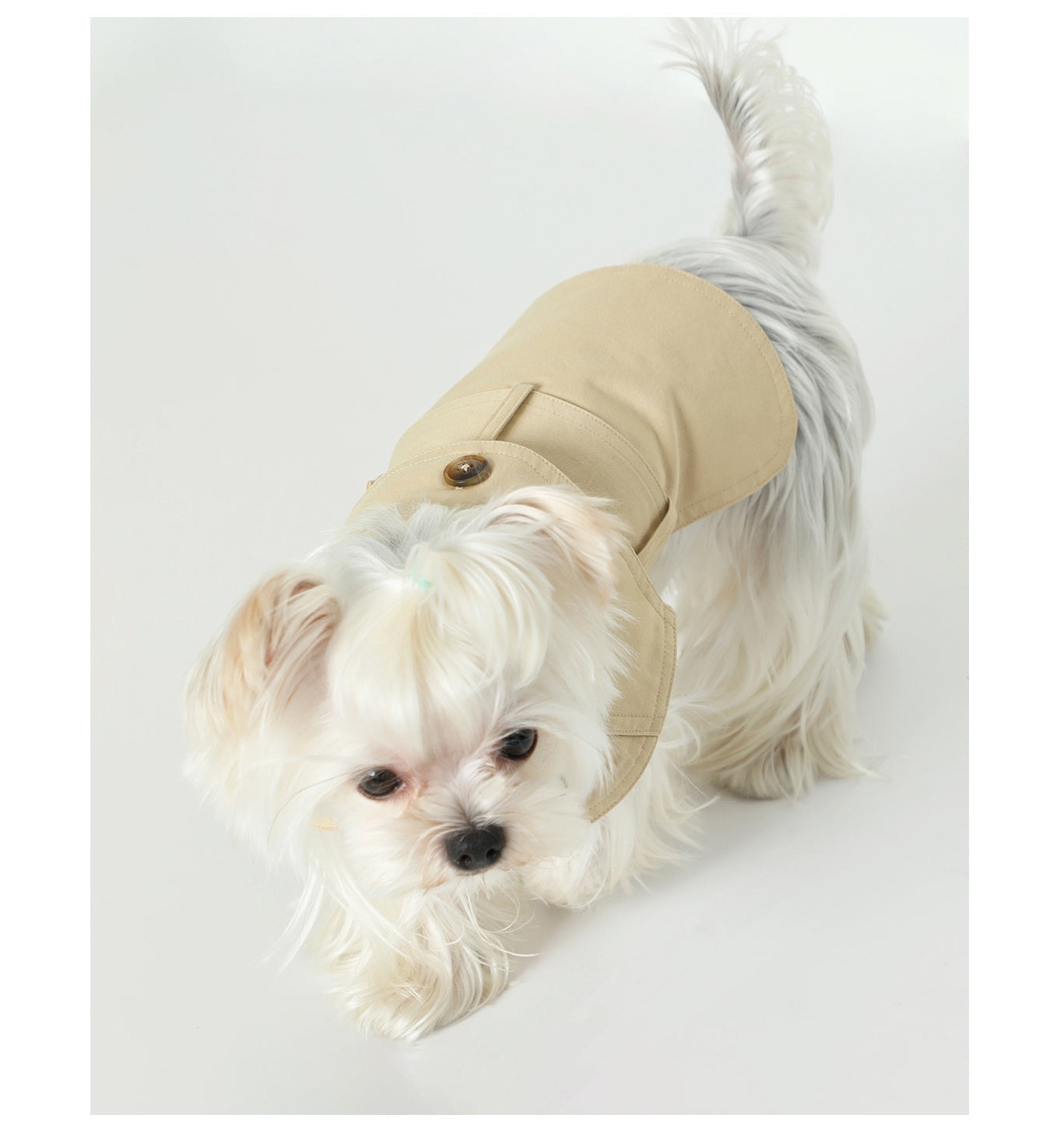 HKM-8129853 Stylish British Trench Coat for Dogs - Lightweight Washed Cotton, Perfect for Spring and Autumn