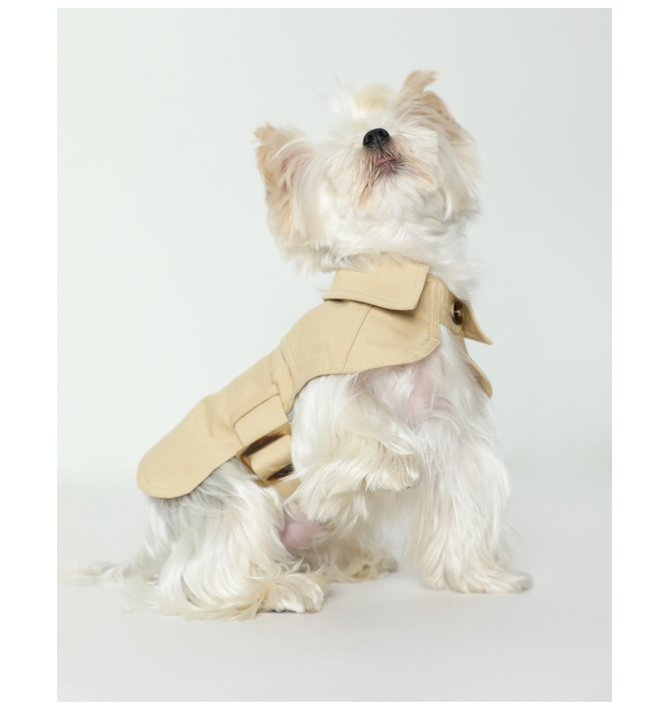 HKM-8129853 Stylish British Trench Coat for Dogs - Lightweight Washed Cotton, Perfect for Spring and Autumn