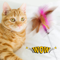 HKM-8135229 Multi-functional Cat Teaser with Silicone Feather and Adjustable Collar for Scarf 17-27cm