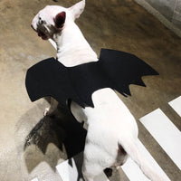HKM-813715 Pet Bat Wings Costume for Dogs - Stylish Accessory for Pets in Black, Sizes S-L
