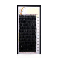 HKM-813779 Natural Grafted Eyelashes - Soft, Realistic, and Lightweight Curling Lashes (Length: 8mm-15mm)