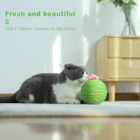 HKM-8140477 Interactive Cat Scratcher Ball with Natural Sisal and Catnip for Indoor Play and Exercise