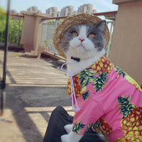 HKM-8141373 Casual Cotton Shirt for Pets - Pink Pineapple Design - Multiple Sizes Available