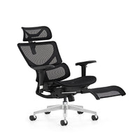 HKM-814163 Ergonomic Adjustable Mesh Executive Office Chair with Footrest and 3D Armrests
