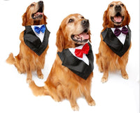 HKM-814291 Elegant Dog Tuxedo Triangle Scarf ¨C Adjustable Neck Size 57-67Cm, Silk Fabric with Waterproof Nylon Base in Red, Blue, and Purple