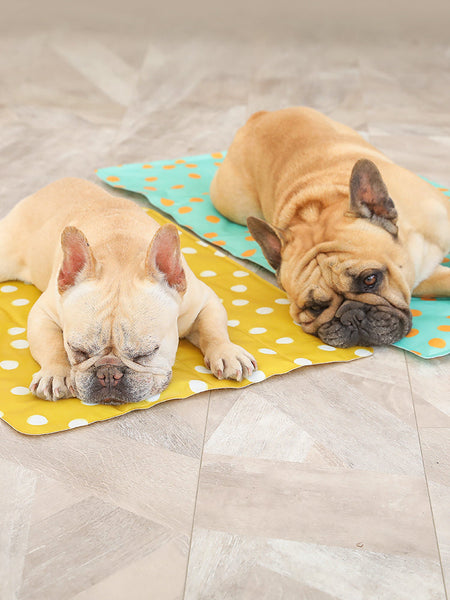 HKM-8144829 Pet Gel Ice Pad for Cooling Relief and Comfort for Pets
