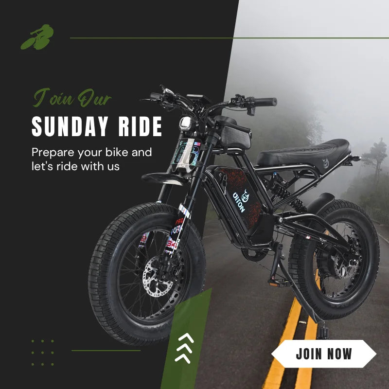 HKM-814867 52V 1500W Fat Tire Electric Mountain Bike with 25Ah Battery and 7-Speed Gears for Adults and Teens