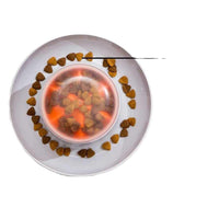 HKM-8160445 Automatic Pet Feeder for Dogs and Cats with Press Leakage Design