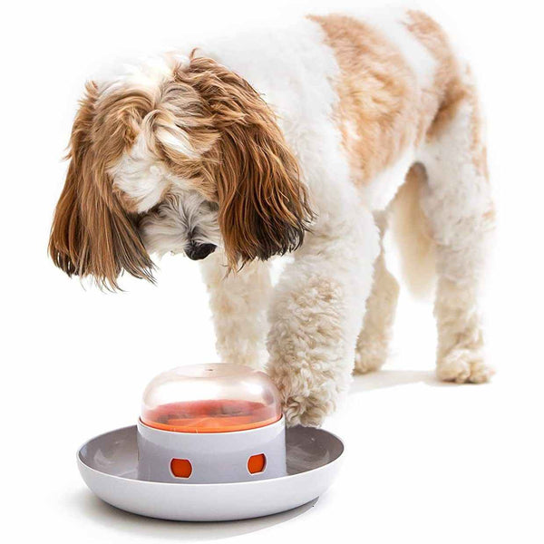 HKM-8160445 Automatic Pet Feeder for Dogs and Cats with Press Leakage Design