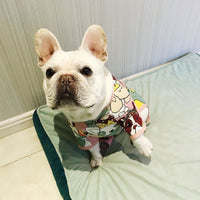 HKM-8160829 Lightweight Cotton Four-Legged Sweater for Spring and Summer Wear