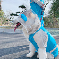 HKM-8162621 Lightweight Waterproof Pet Parent-Child Dinosaur Raincoat - Blue & White, Various Sizes Available