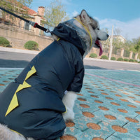 HKM-8162621 Lightweight Waterproof Pet Parent-Child Dinosaur Raincoat - Blue & White, Various Sizes Available