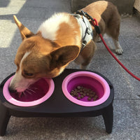 HKM-8166205 Portable Double Pet Bowl with Convenient Folding Design - Made of Durable PP and TPR Materials